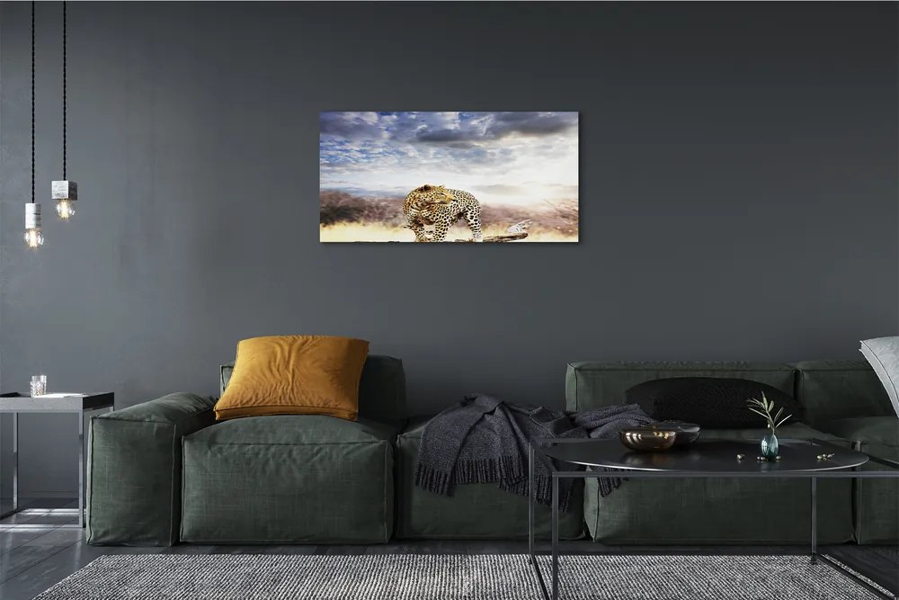 Obraz canvas panter mraky 120x60 cm