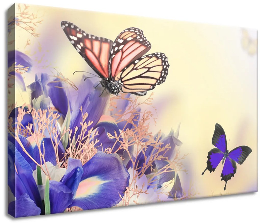 Gario Obraz na plátne Nádherný motýľ Veľkosť: 55 x 115 cm
