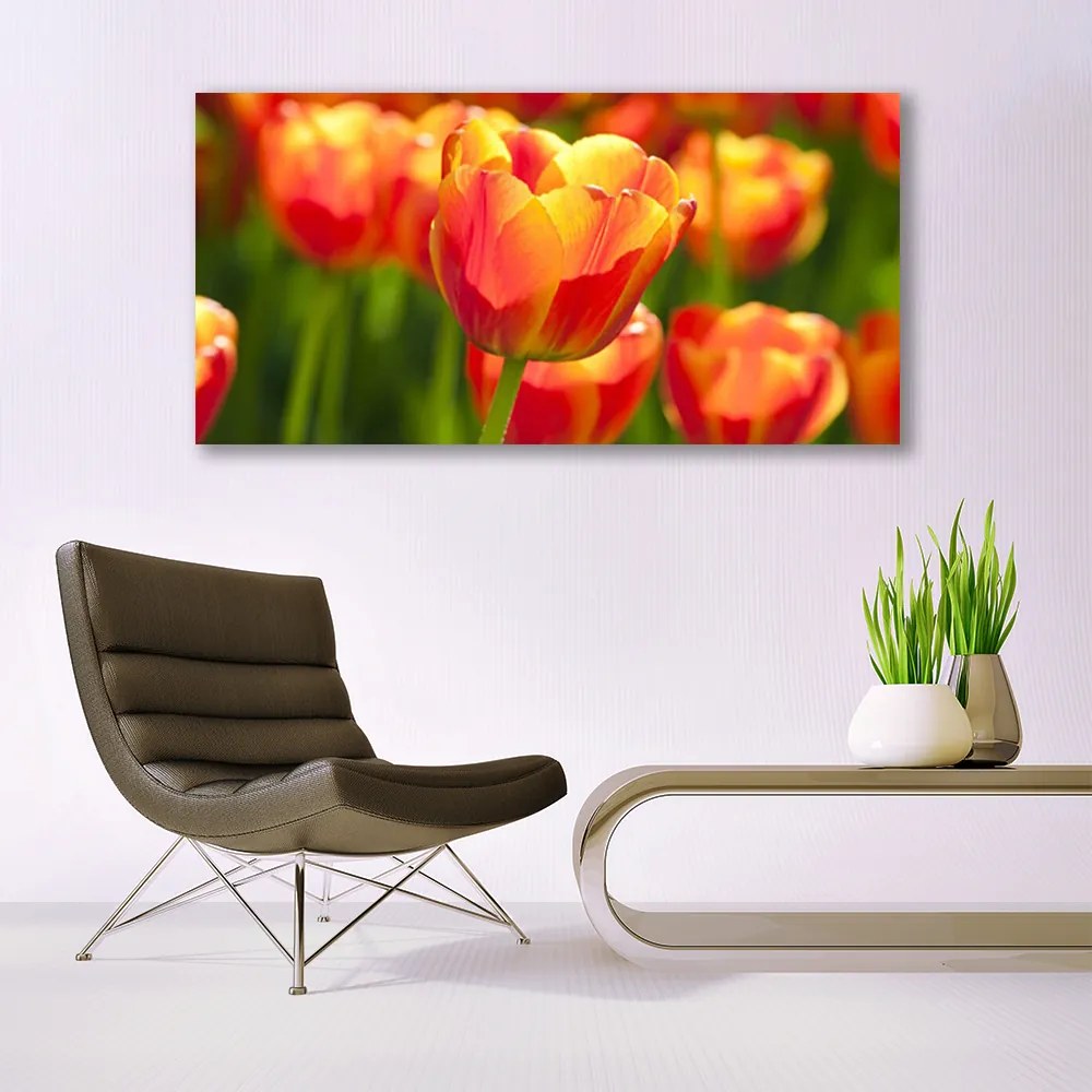 Obraz plexi Tulipány kvety rastlina 120x60 cm