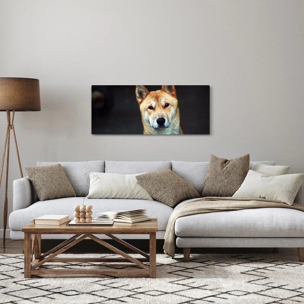 Obraz psa (120x50 cm)