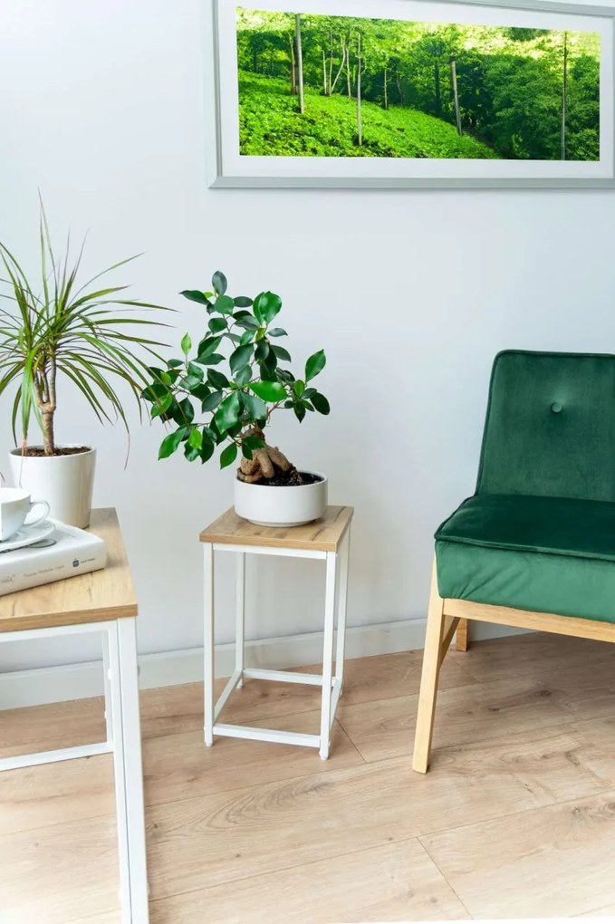 Květinový stojan Loft Arben 40 cm bílý/dub Craft