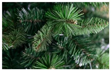Sammer Vianočný stromček v zelenej farbe borovica Lena 150 cm Lena 150 cm