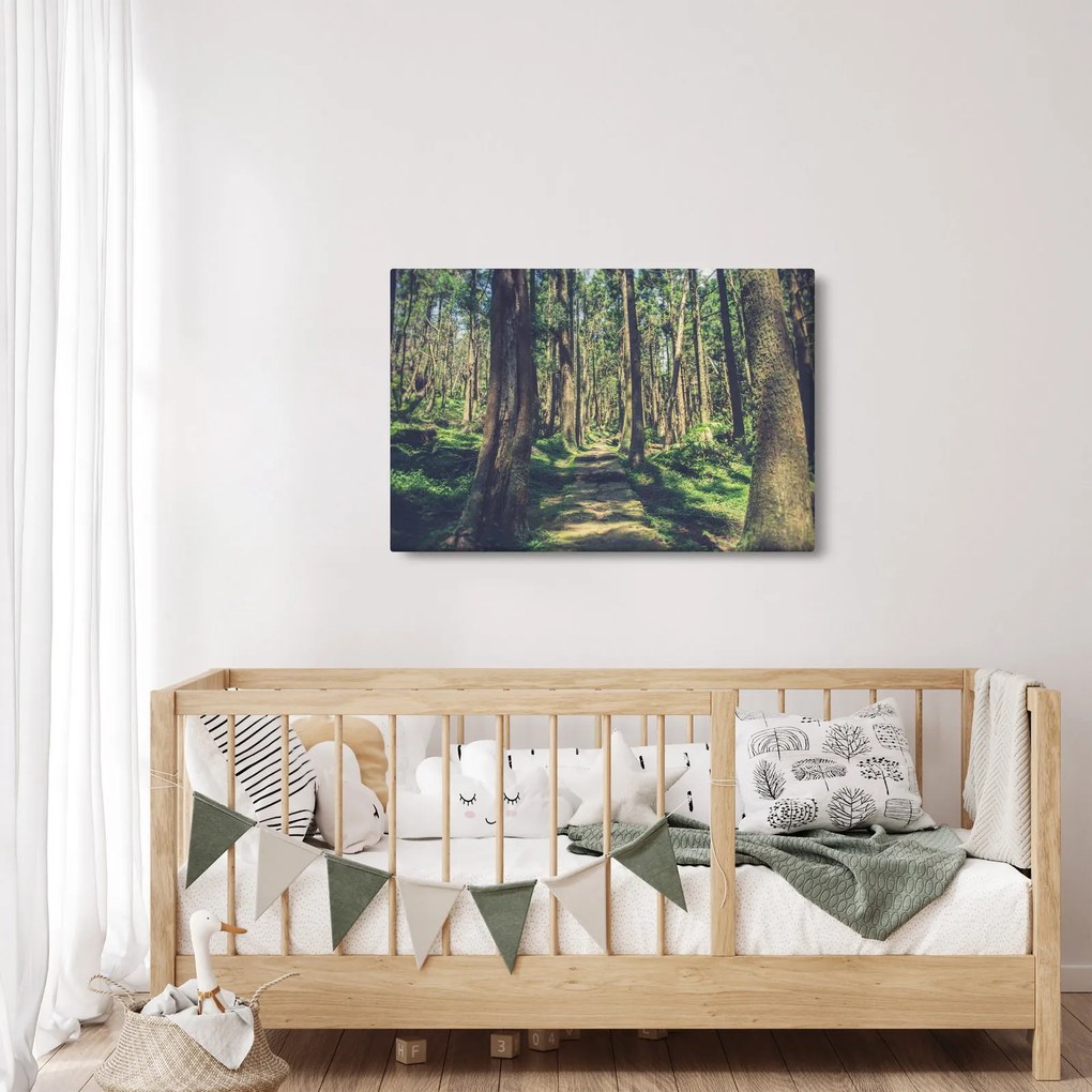 Obraz cesty medzi stromami (90x60 cm)