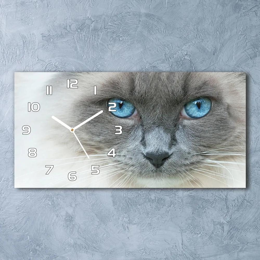 Sklenené hodiny na stenu Mačka modré oči pl_zsp_60x30_f_41430581