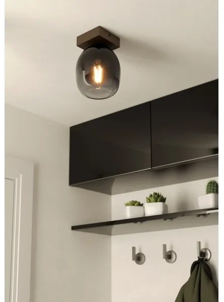 Eglo 900825 - Stropné svietidlo FILAGO 1xE27/40W/230V