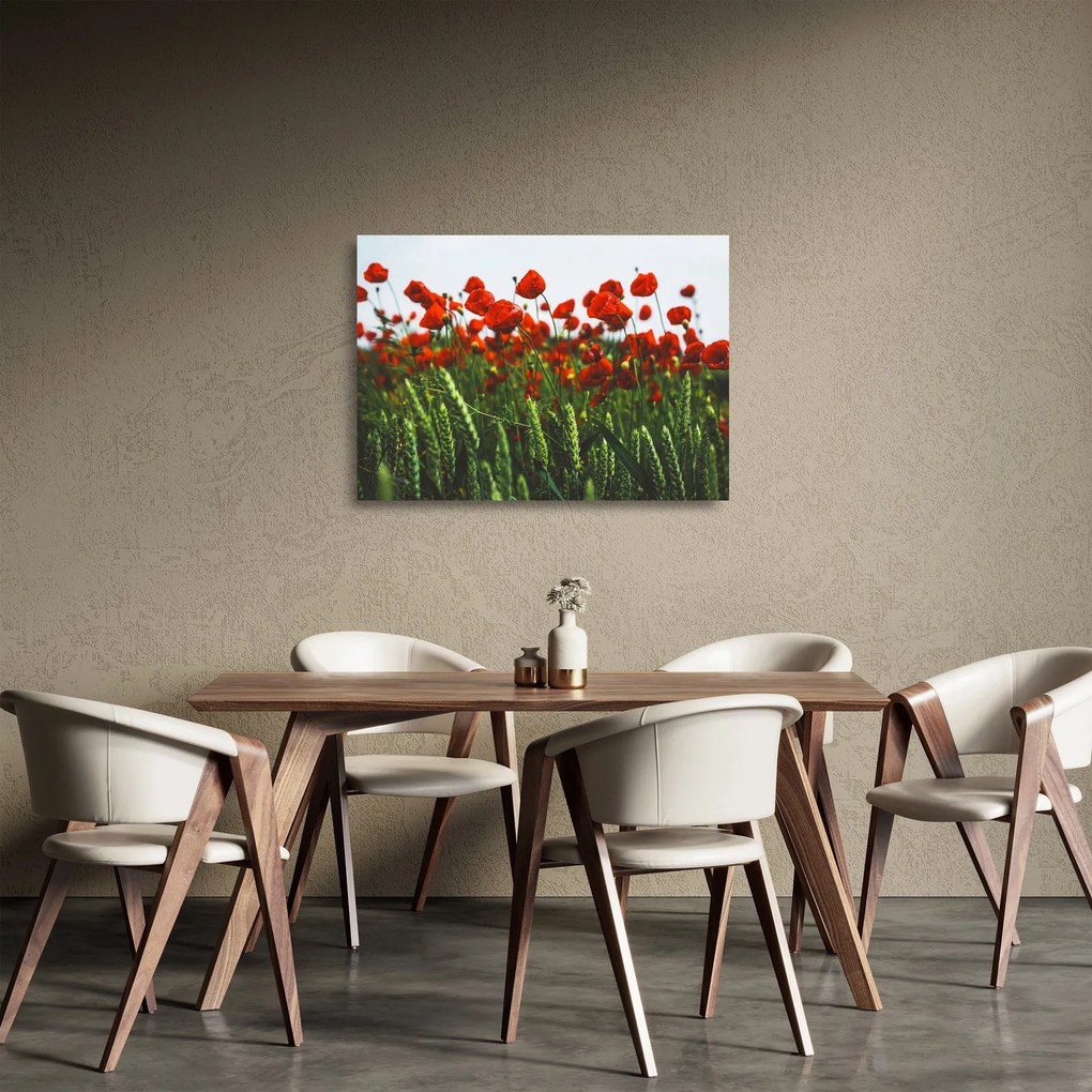 Sklenený obraz vlčích makov vo vetre (70x50 cm)