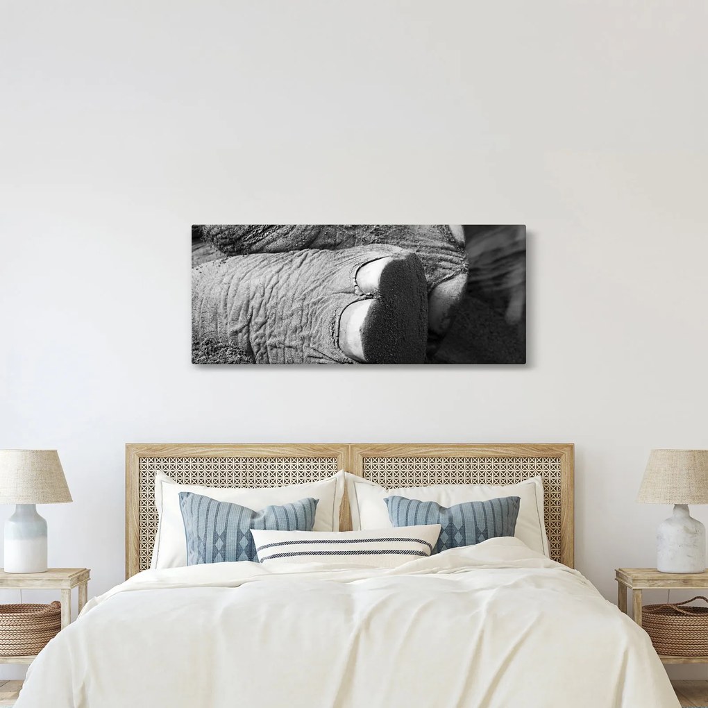 Obraz - Slonia noha (120x50 cm)