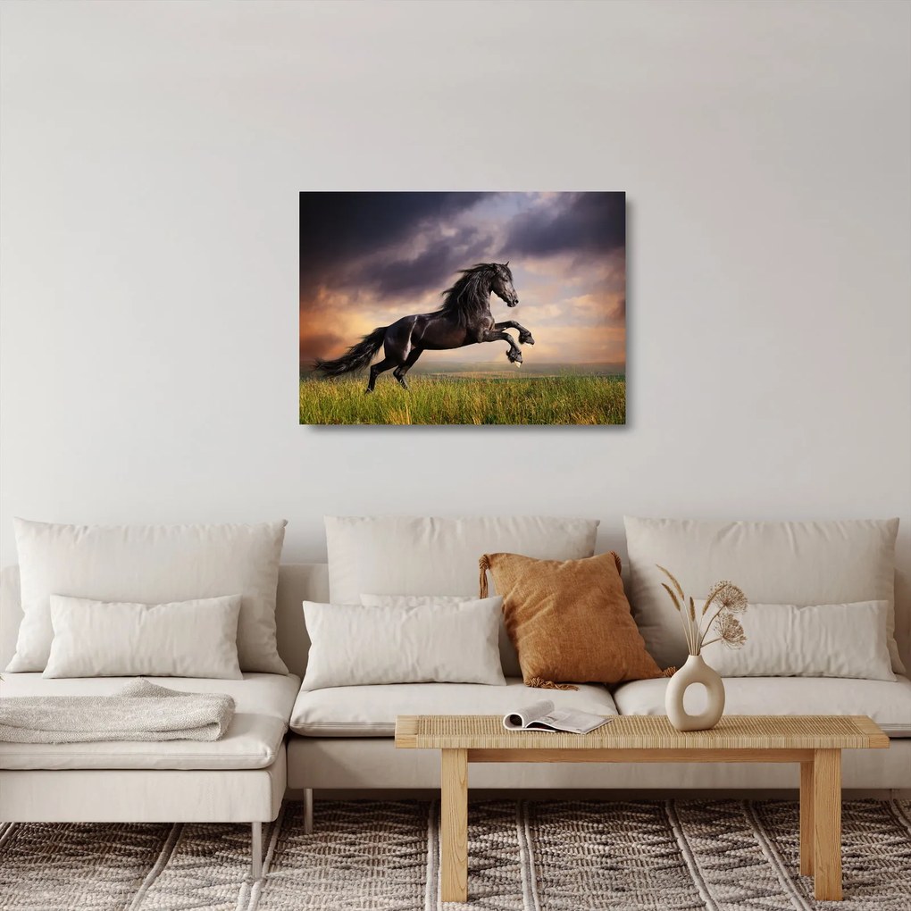 Sklenený obraz - Kone (70x50 cm)