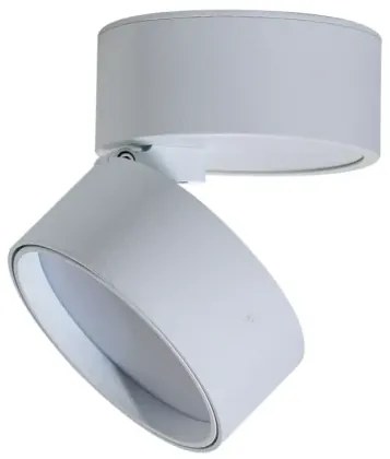 LED bodové svetlo Mona 12W 3000K biele