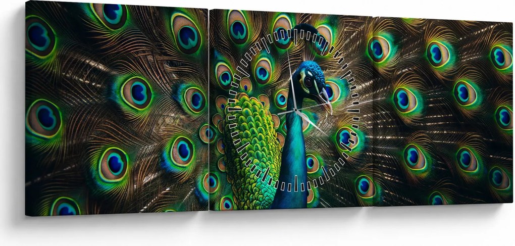 Obraz – Páv (s hodinami) (90x30 cm)