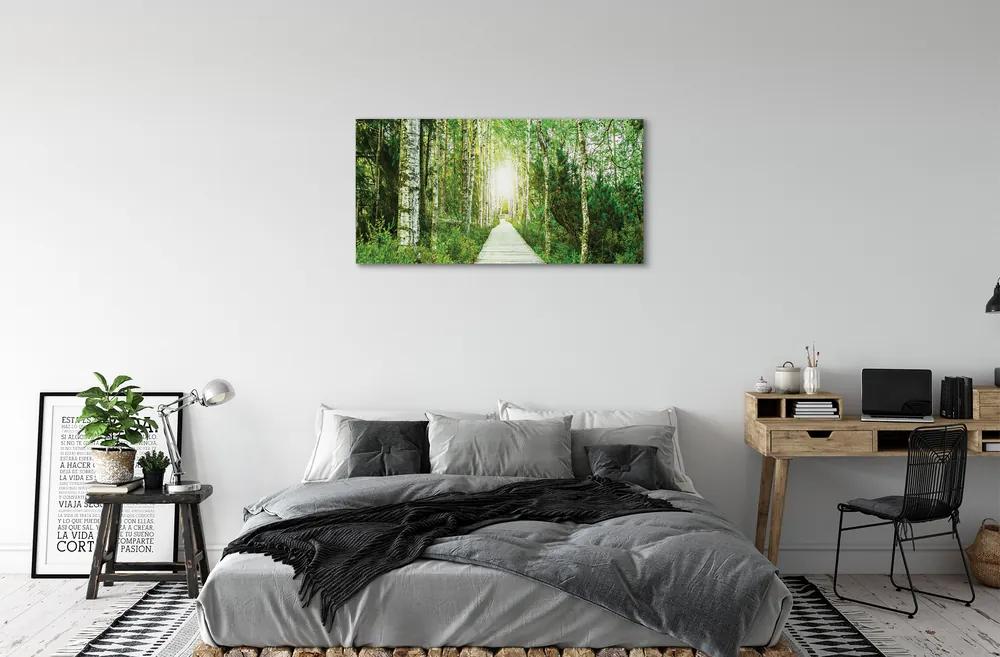 Obraz canvas Breza lesná cesta 125x50 cm