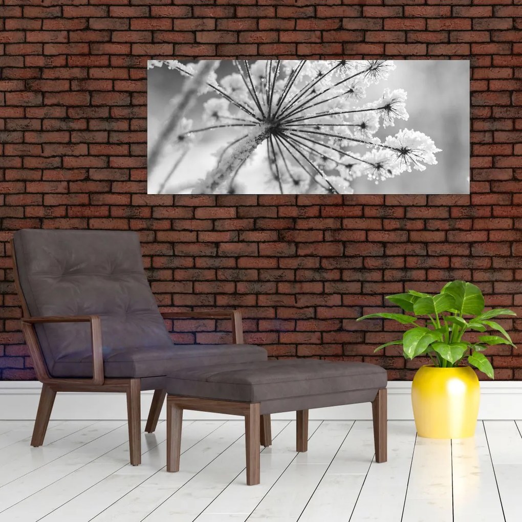Obraz - Kvetina v zime (120x50 cm)