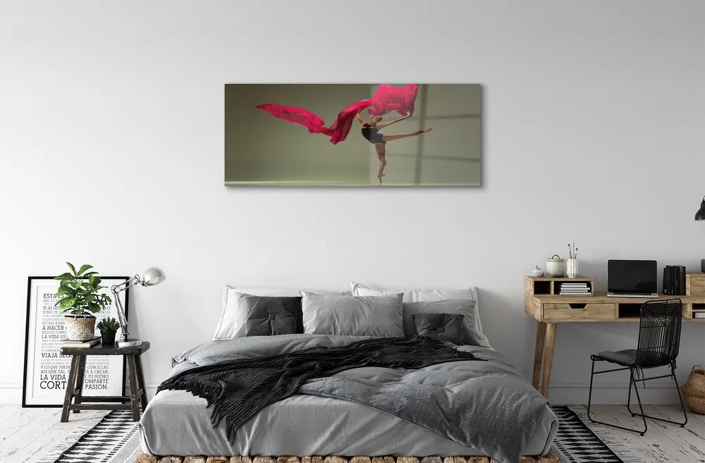 Obraz plexi Baletka ružová materiál 120x60 cm