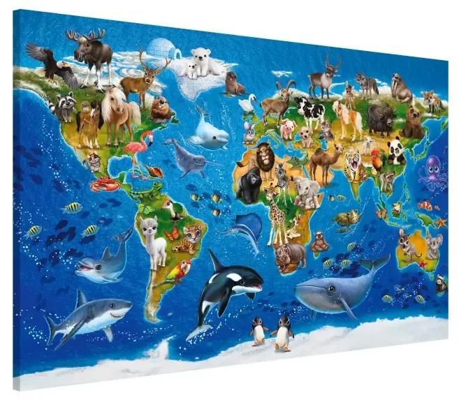 Magnetické obrazy Mapa sveta so zvieratami