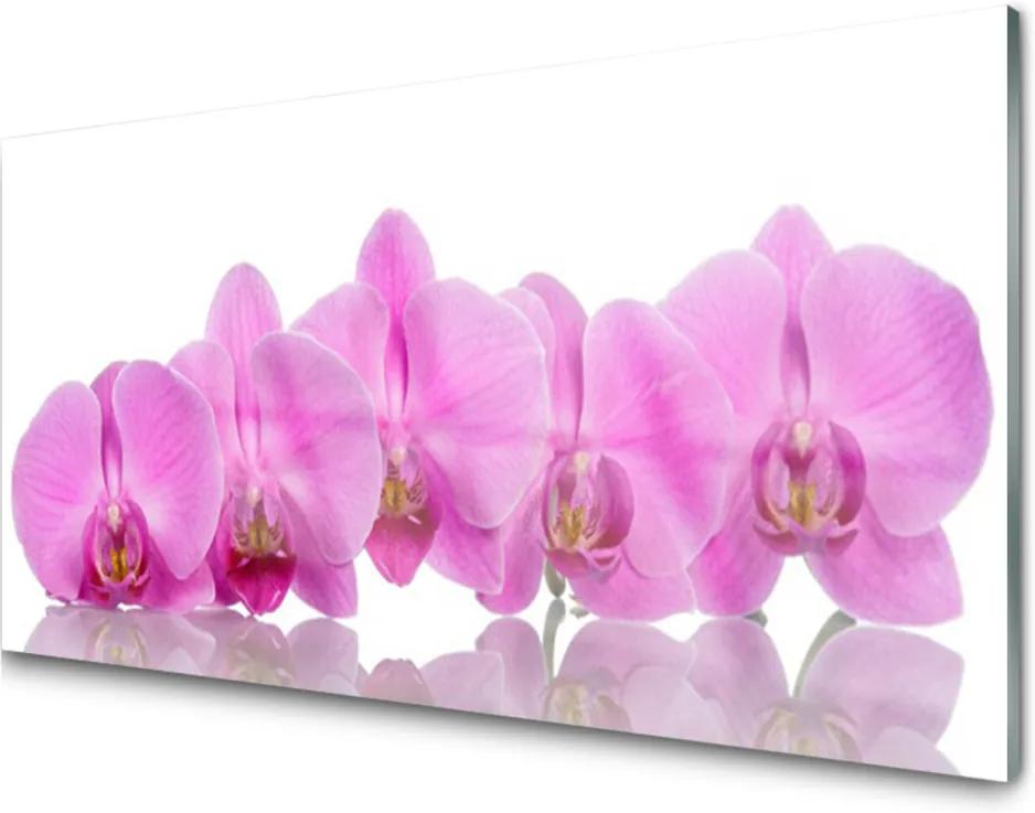 Sklenený obklad Do kuchyne Ružová Orchidea Kvety