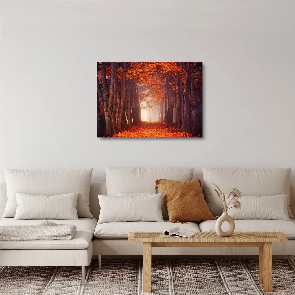 Sklenený obraz - Jesenné les (70x50 cm)