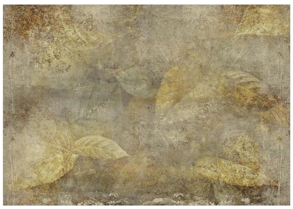 Artgeist Fototapeta - Stone Nature Veľkosť: 245x175, Verzia: Samolepiaca