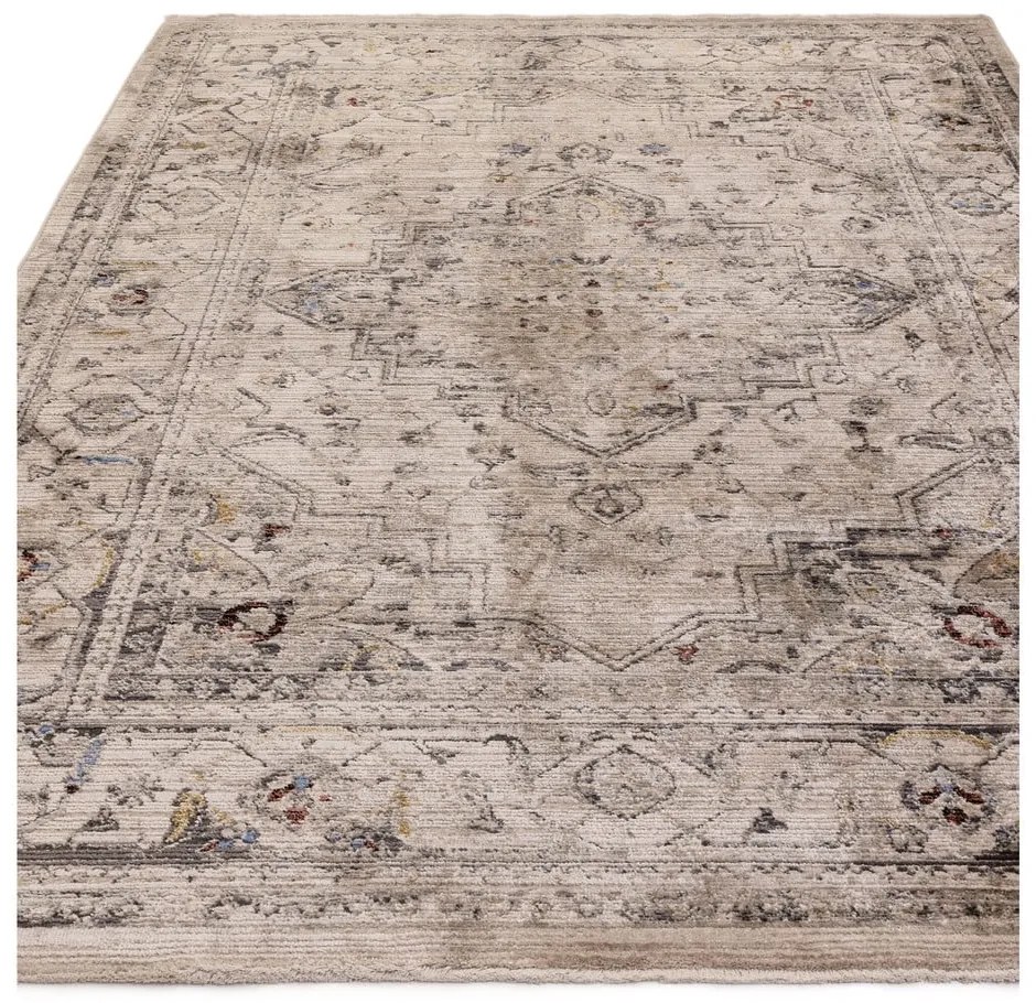 Béžový koberec 120x166 cm Sovereign – Asiatic Carpets