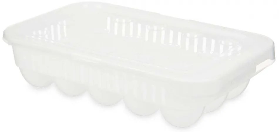 Arte Regal Box na vajíčka, obal na 15 ks vajec, biely WAPPA