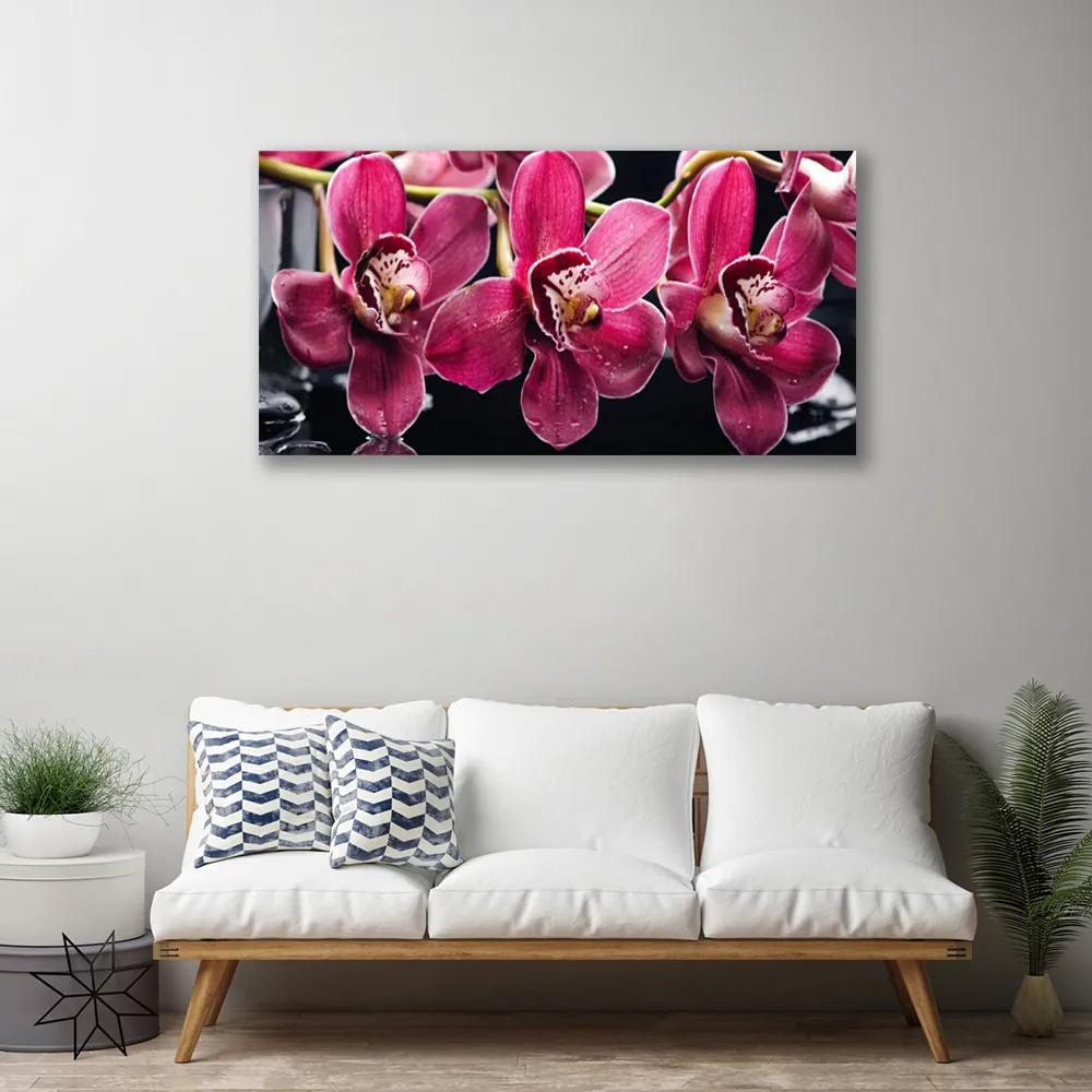 Obraz Canvas Kvety orchidey výhonky príroda 125x50 cm