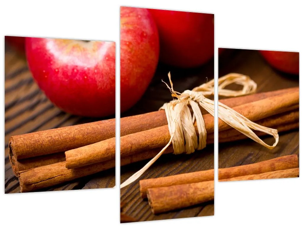 Obraz - Škorica (90x60 cm)