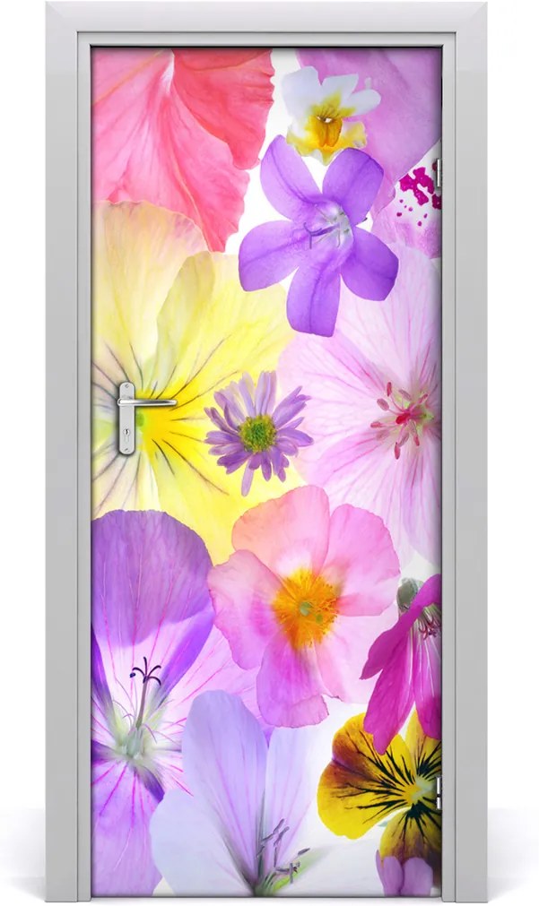 Fototapeta na dvere  farebné kvety