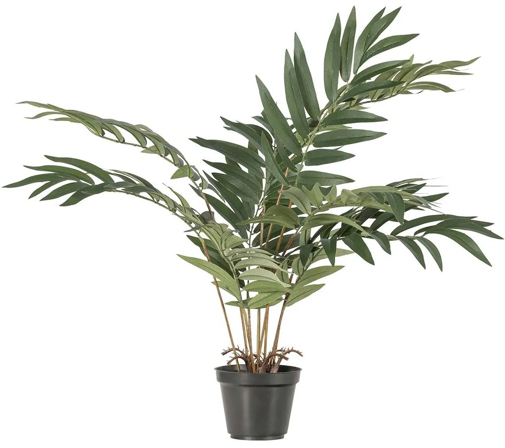 Umelá rastlina Palma Kwai 68 × 51 × 50 cm
