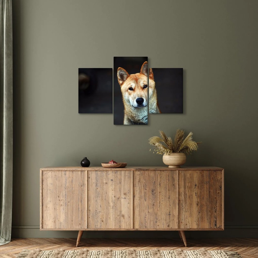 Obraz psa (90x60 cm)