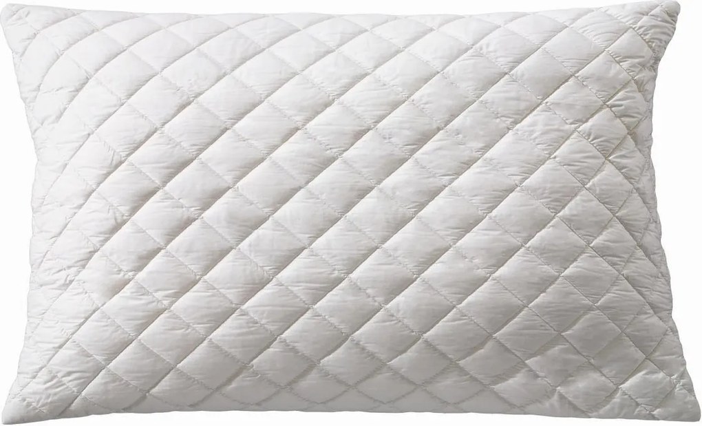 XXXLutz VANKÚŠ POD HLAVU, 40/80 cm Billerbeck - Prikrývky & vankúše - 003279016801