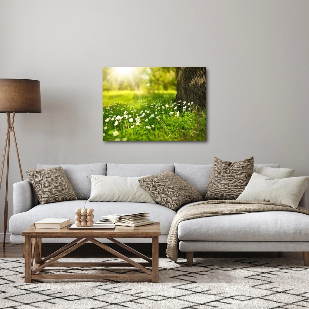 Obraz paseky a kvetín (70x50 cm)