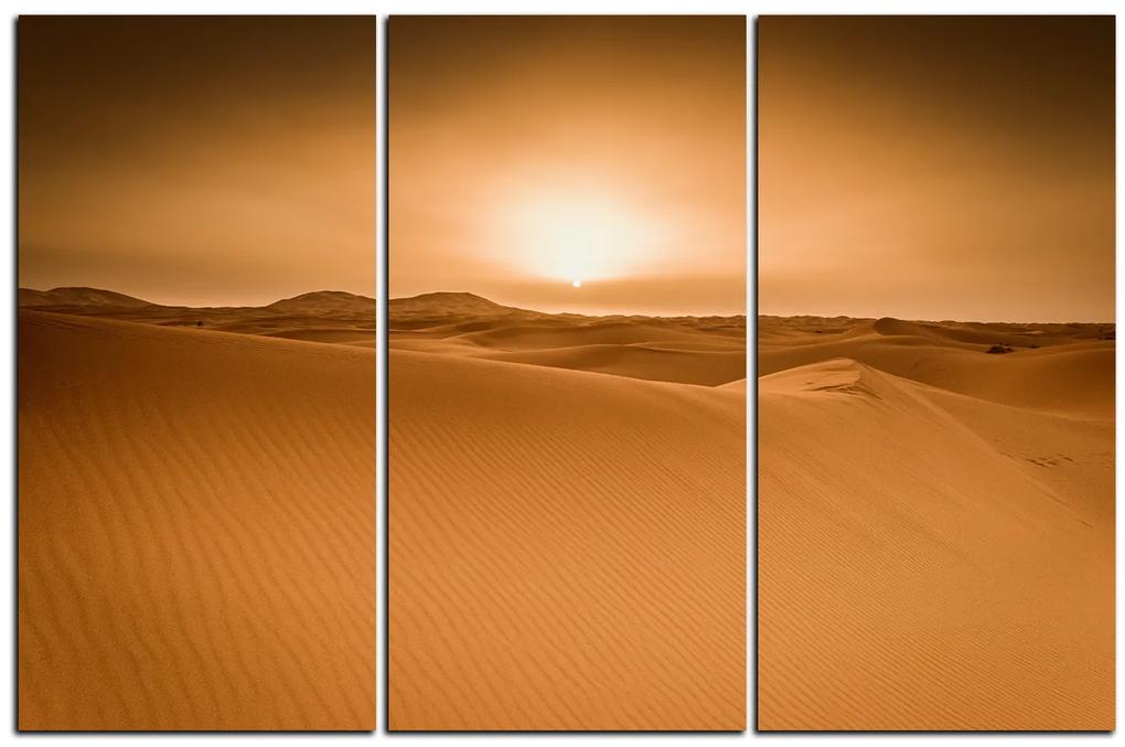 Obraz na plátne - Púšť Sahara 1131B (105x70 cm)