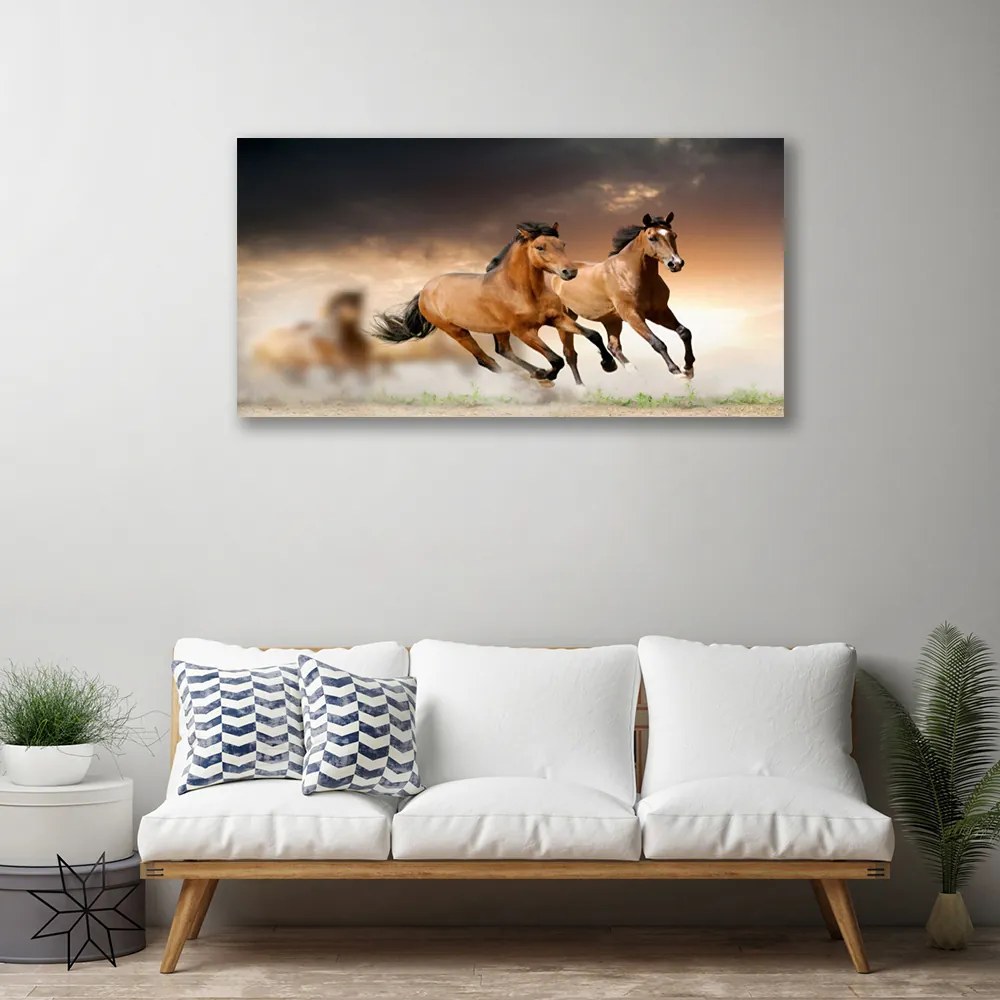 Obraz na plátne Kone zvieratá 125x50 cm