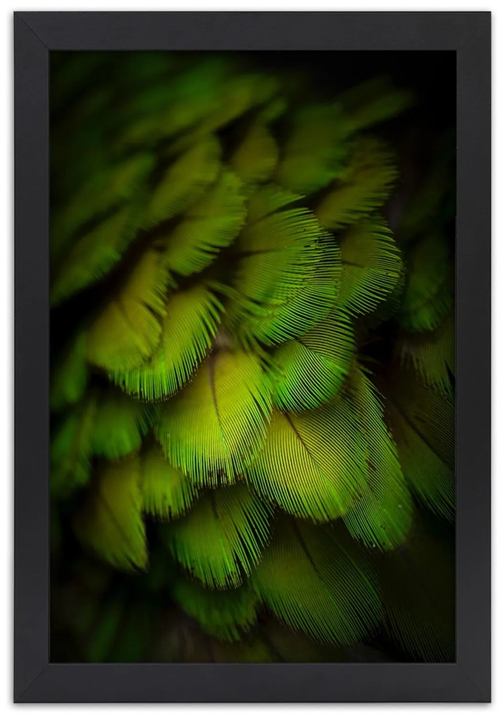 Gario Plagát Abstrakt zo zeleného peria Farba rámu: Čierna, Rozmery: 70 x 100 cm