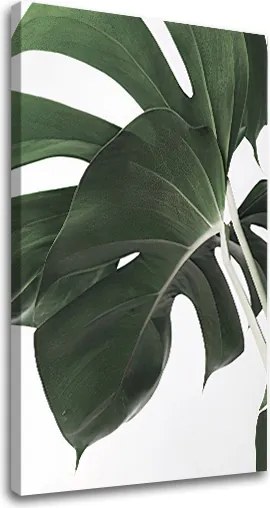 Obraz na plátne RASTLINY 010