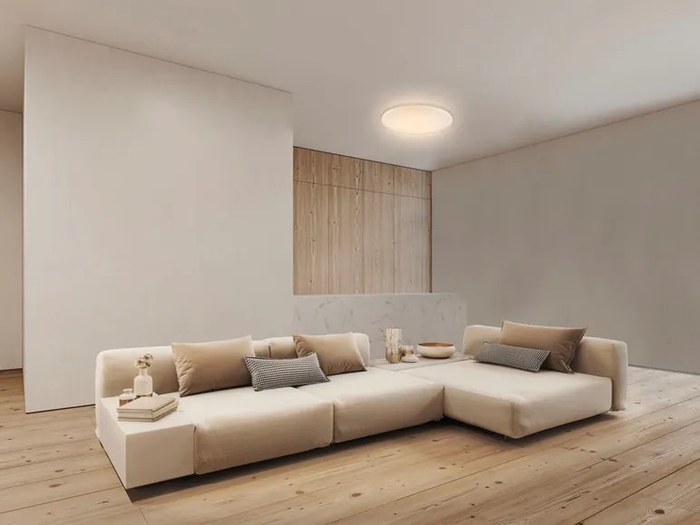 Livarno home Stropné LED svietidlo (100360264)