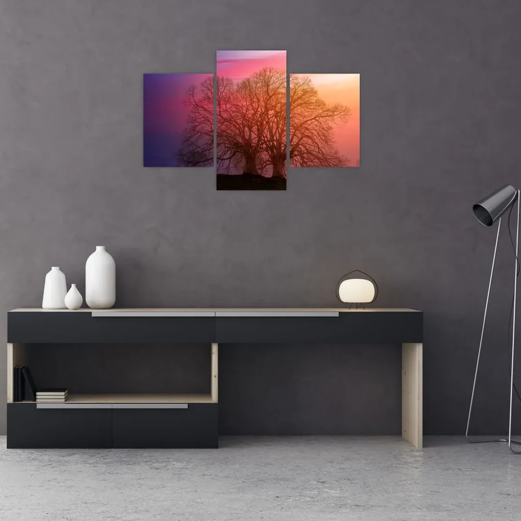 Obraz stromov v hmle (90x60 cm)