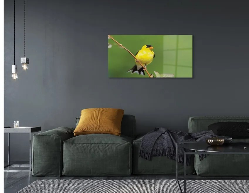 Sklenený obraz žltý papagáj 125x50 cm