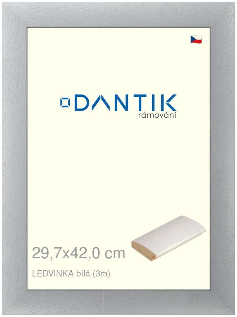 DANTIK rám na obraz 29,7x42 | LEDVINKA bílá (Plexi Čiré)