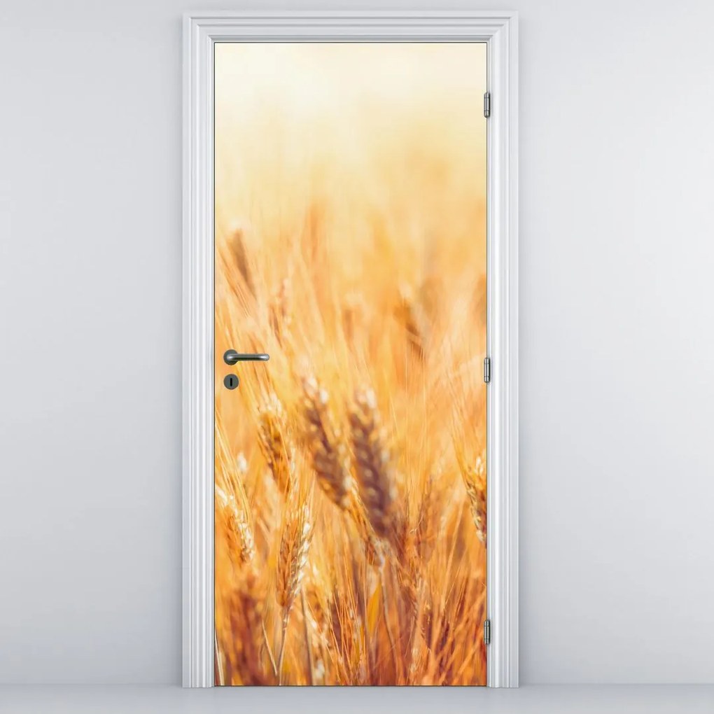 Fototapeta na dvere - Pole s obilím (95x205cm)