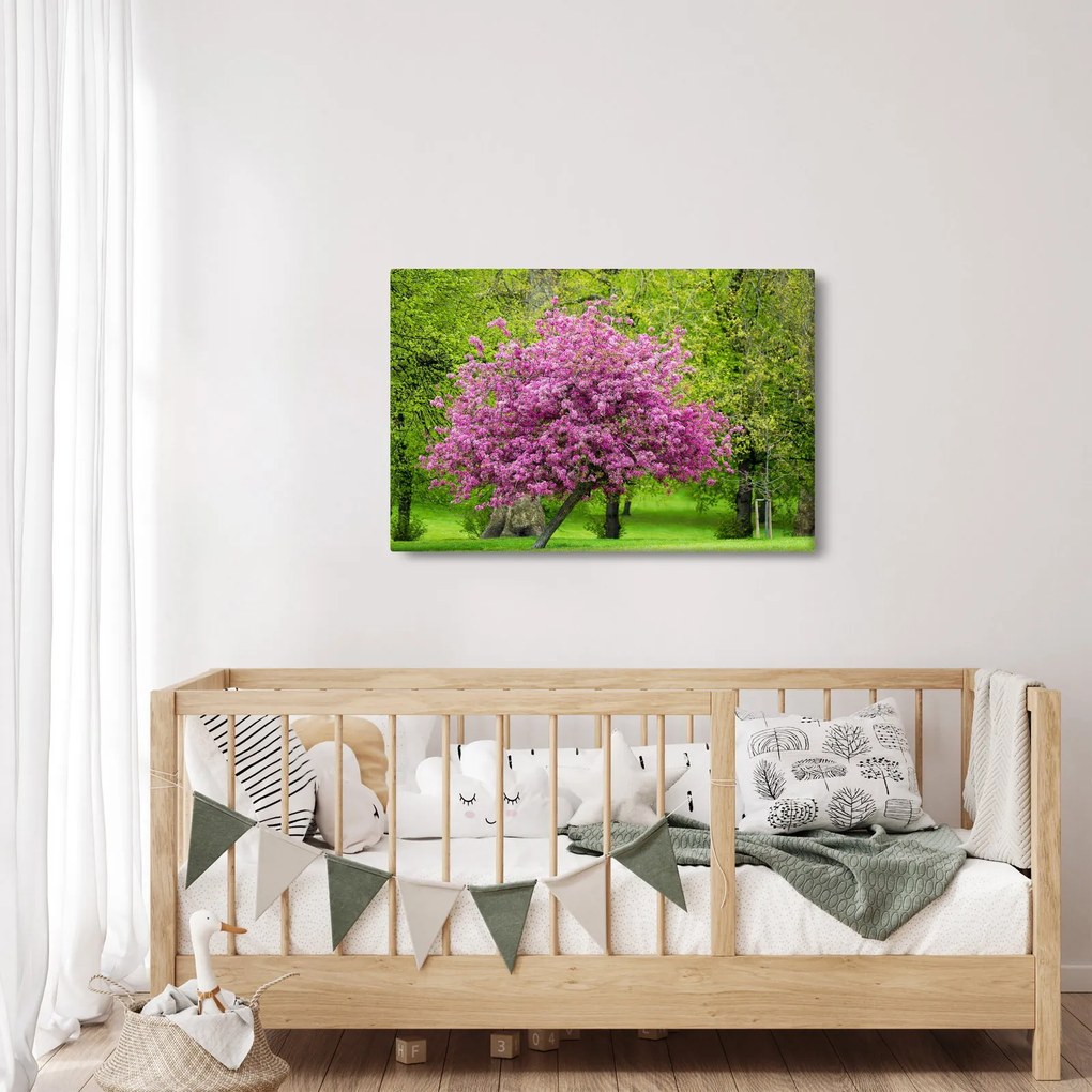 Obraz rozkvitnutého stromu na lúke (90x60 cm)