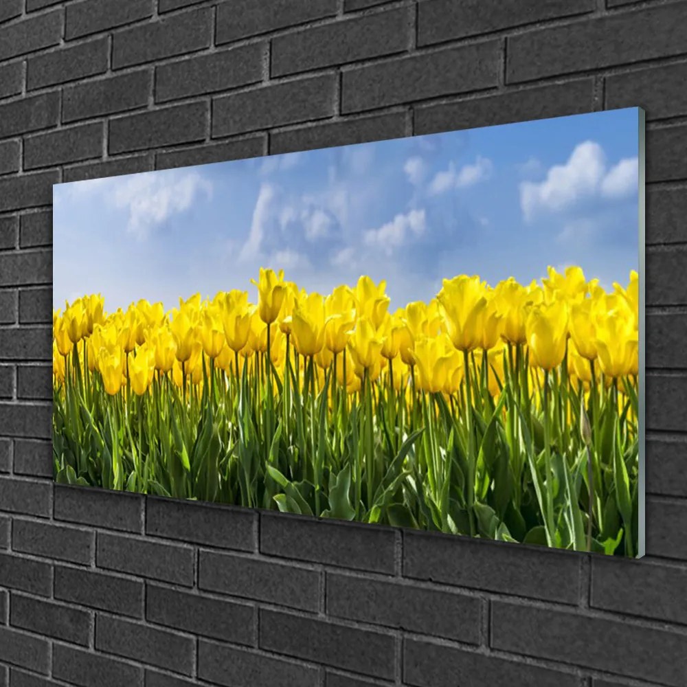 Skleneny obraz Tulipány kvety rastlina 120x60 cm