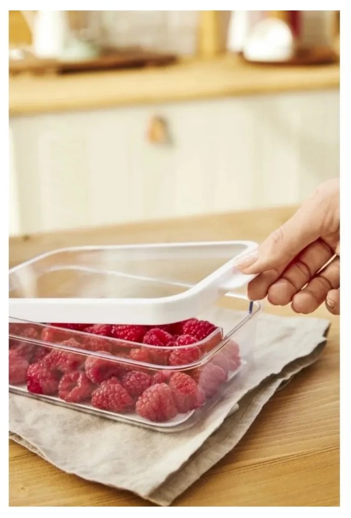 Rotho Organizér do chladničky s vekom a špeciálnou podložkou 1,2l CAUMA