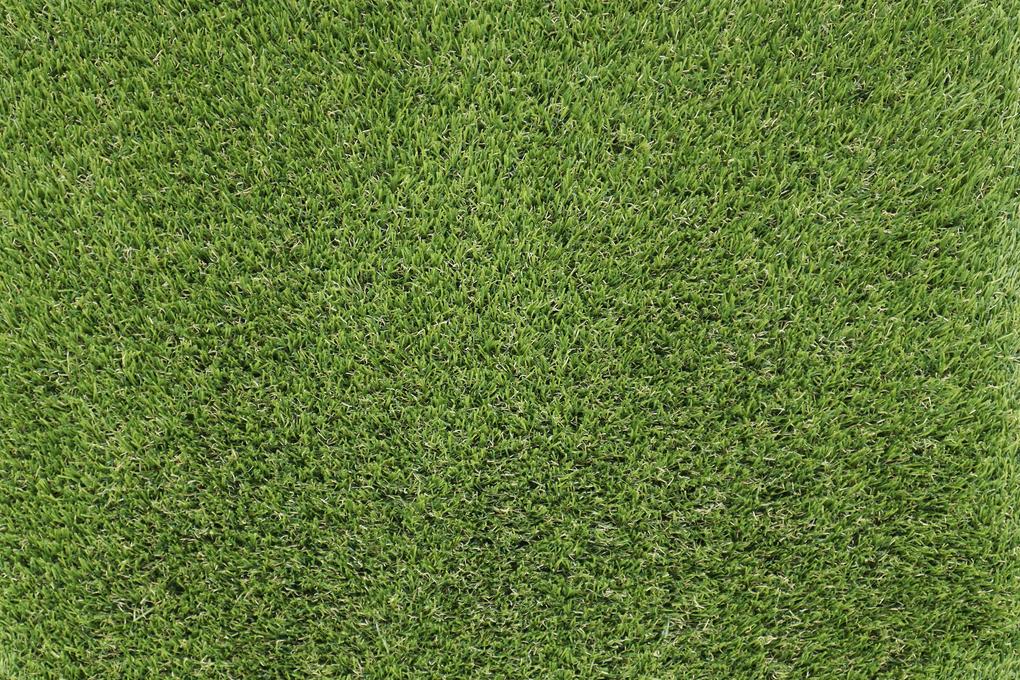 Artificial grass specialists AKCIA: 270x400 cm Umelá tráva Rosalia metrážna - Rozmer na mieru cm