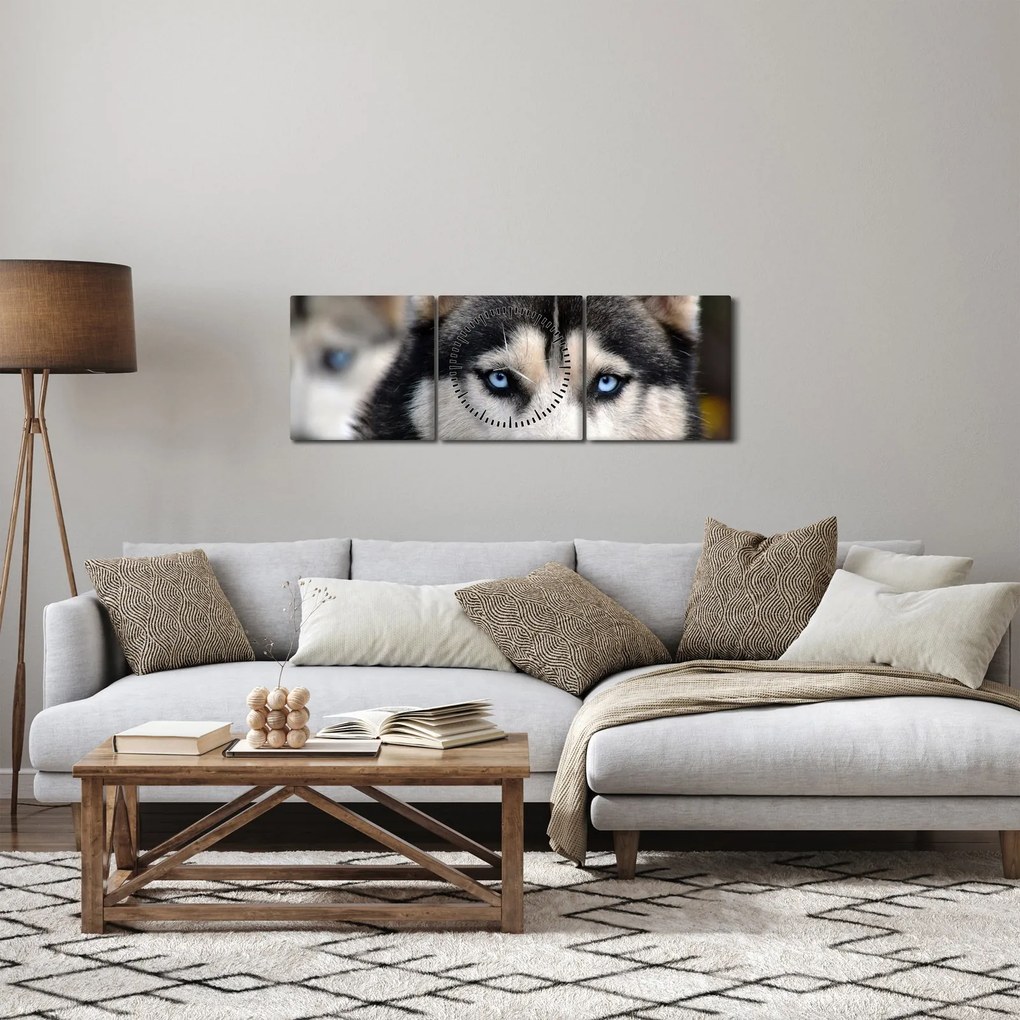 Obraz psa husky (s hodinami) (90x30 cm)