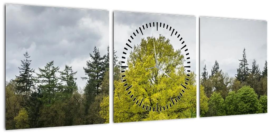 Obraz zeleného stromu uprostred poľa (s hodinami) (90x30 cm)