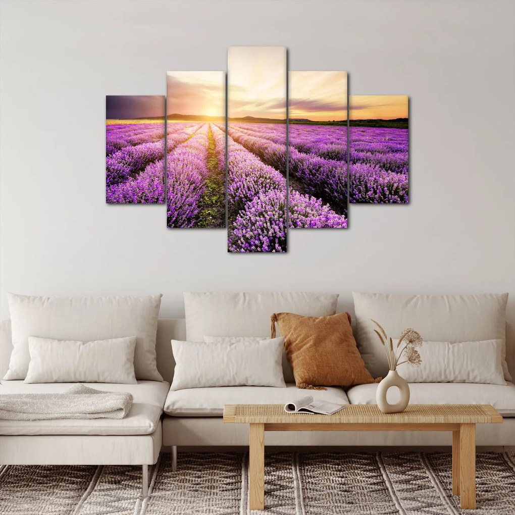 Obraz - Východ slnka v levanduľovom poli (150x105 cm)