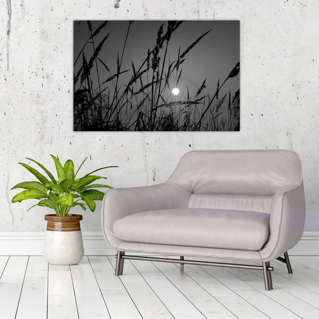 Obraz - Lúka so západom slnka (90x60 cm)