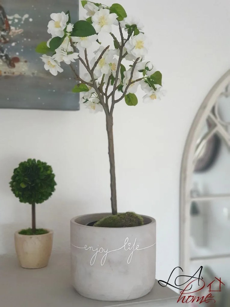 Buxus na kmienku v kvetináči - Ø10 * 24 cm