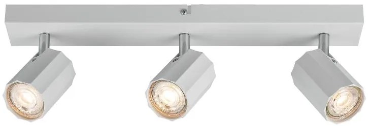 Livarno home Stropné svietidlo (lištové svietidlo, matná biela)  (100393031)