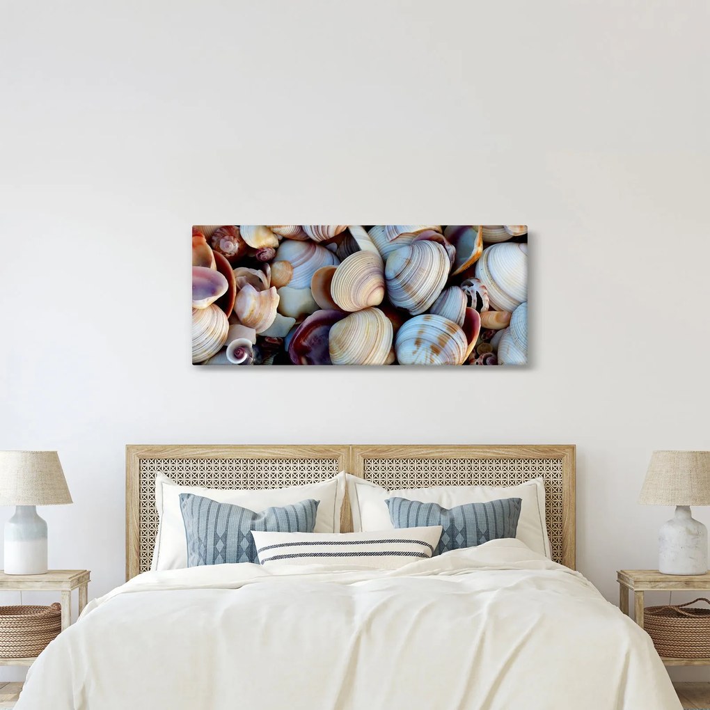 Obraz mušlí (120x50 cm)